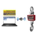 картинка Весы крановые ЕКМ-6000.3/2-W (высокоточные c Wi-Fi)