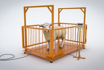 картинка Весы платформенные МВСК С-Н-1,5 с ограждением для взвешивания 