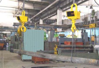 картинка Весы крановые для длинных грузов ТОПАУ