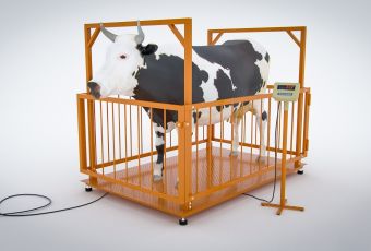 картинка Весы платформенные МВСК С-Н-3 с ограждением для взвешивания животных